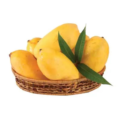 Special Sindhri Mango | Export Quality