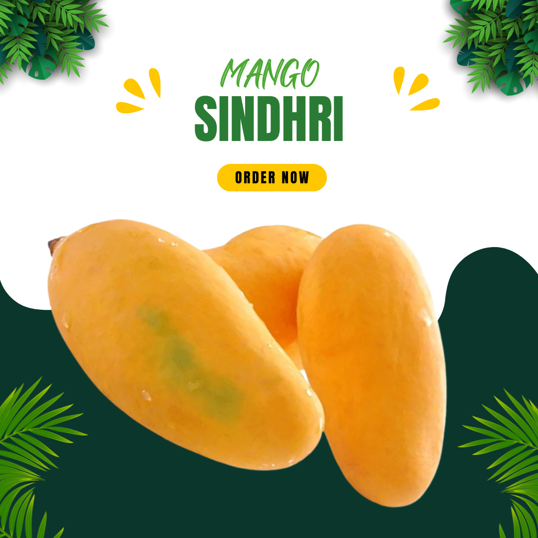 Special Sindhri Mango | Export Quality