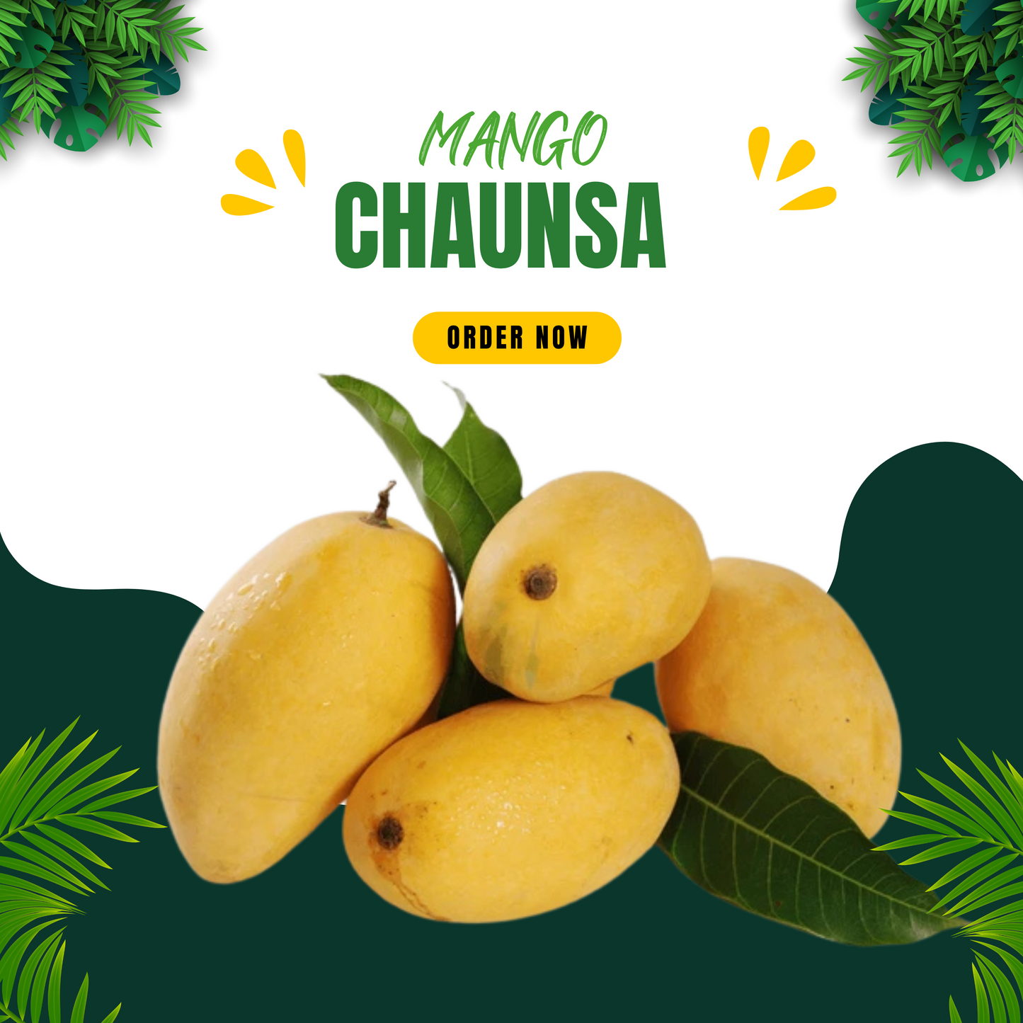 Special Chaunsa Mango | Export Quality